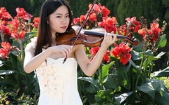 吕杨张津瑜酒店落地窗mba